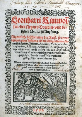 RAUWOLF, Leonhard (1535 – 1596)