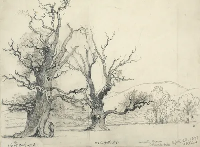 HARRIS, Henry (1874 – 1938)