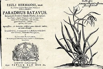 HERMANN, Paul (1646 – 1695)