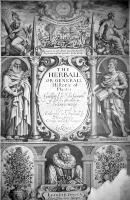 JOHNSON, Thomas ( – 1644)