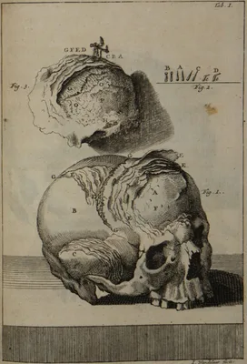 GAGLIARDI, Domenico (1660 – 1745)