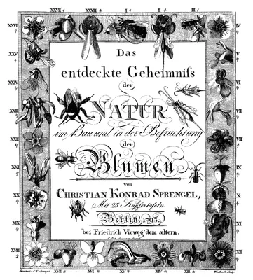 SPRENGEL, Christian Konrad (1750 – 1816)