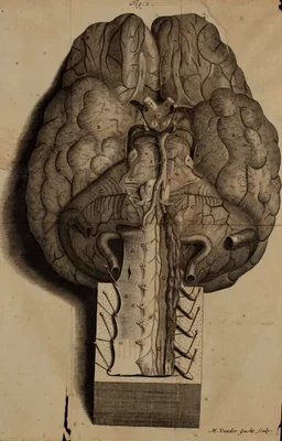 RIDLEY, Humphrey (1653 – 1708)