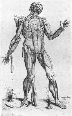 GEMINUS, Thomas [Thomas Lambrit; Thomas Lambert] (1510 – 1562)
